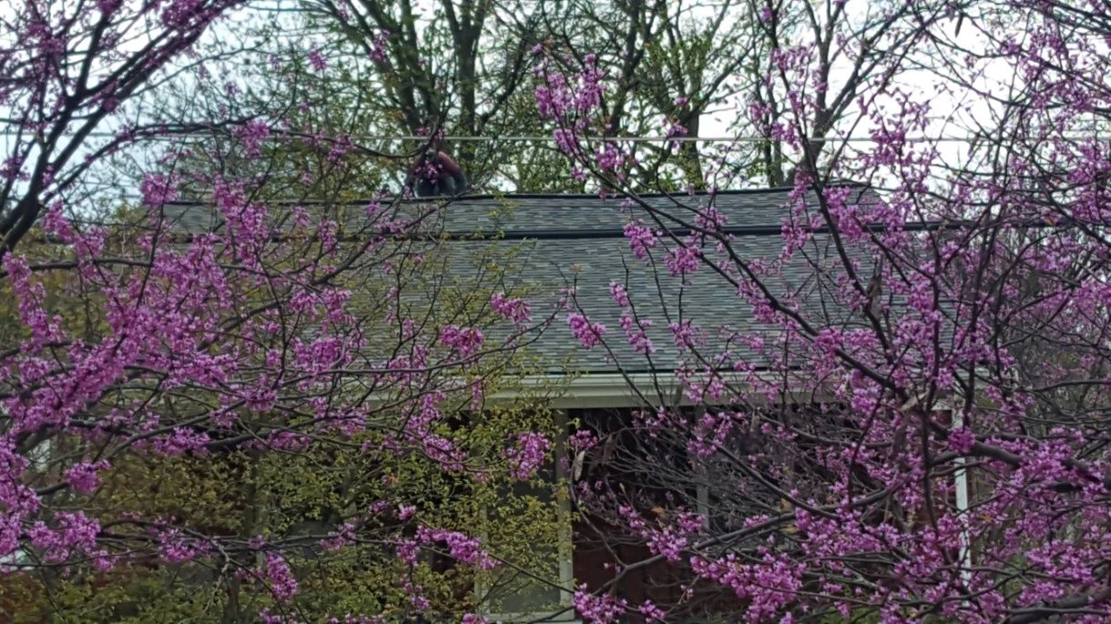 new tpo roof st louis missouri